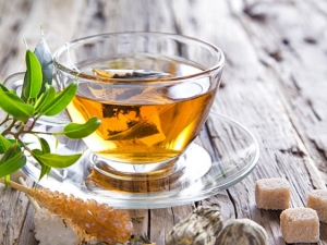 Công dụng của trà đinh lăng